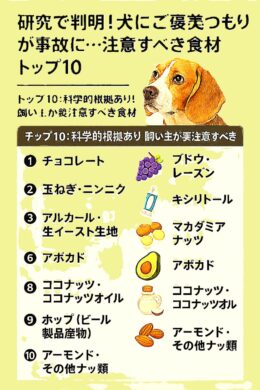 犬のご褒美として食材を与える様子——危険な食材への注意喚起