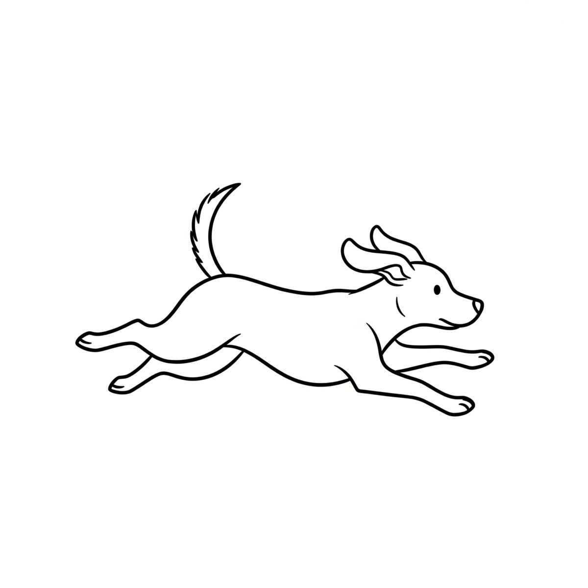 犬のしっぽの動きを観察する様子